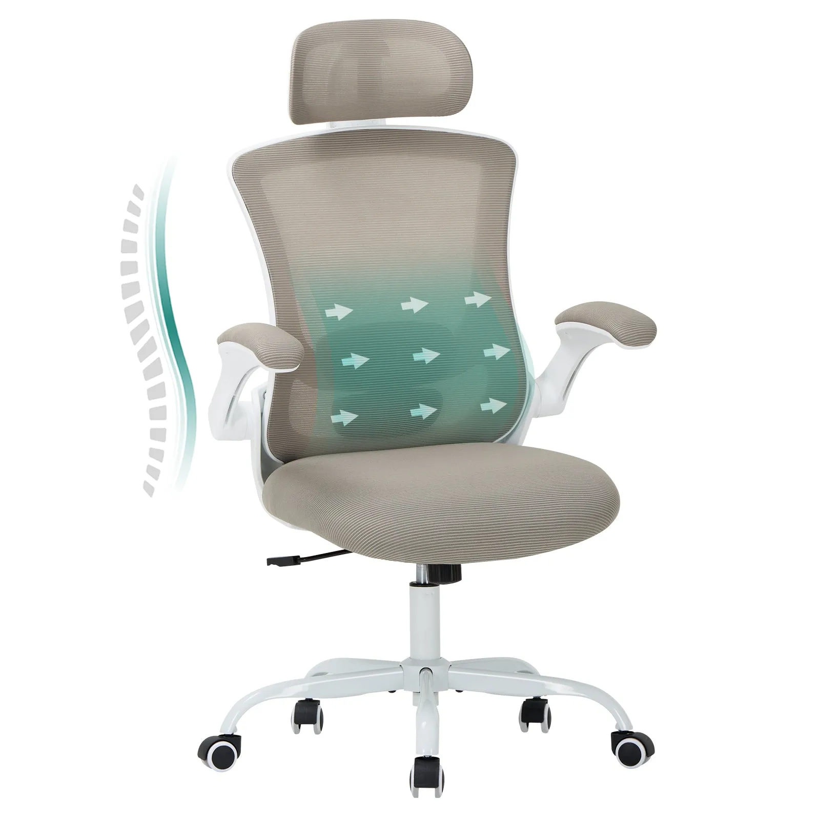 COLAMY Ergonomic Mesh Office Chair with Lumbar Support Model.9050