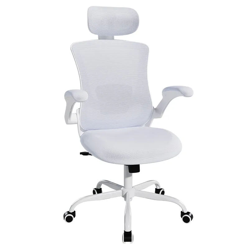 COLAMY Ergonomic Mesh Office Chair with Lumbar Support Model.9050