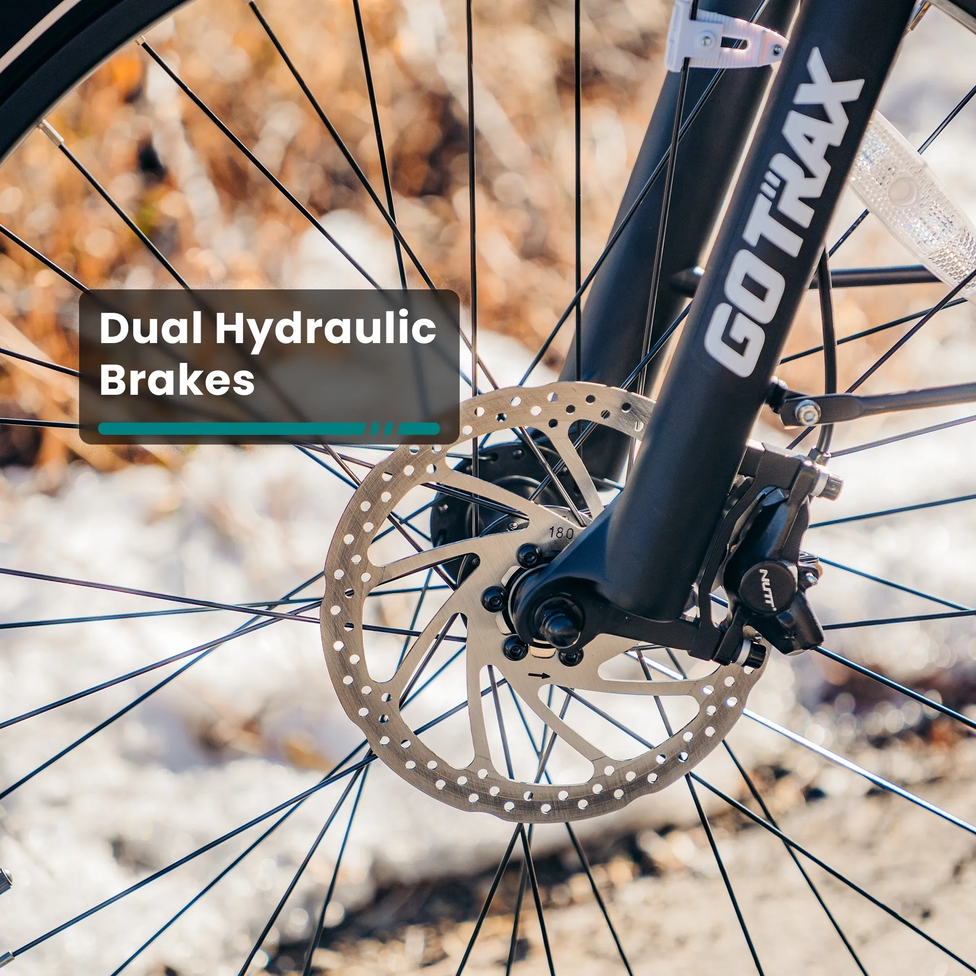Tundra Fat Tire Electric Bike