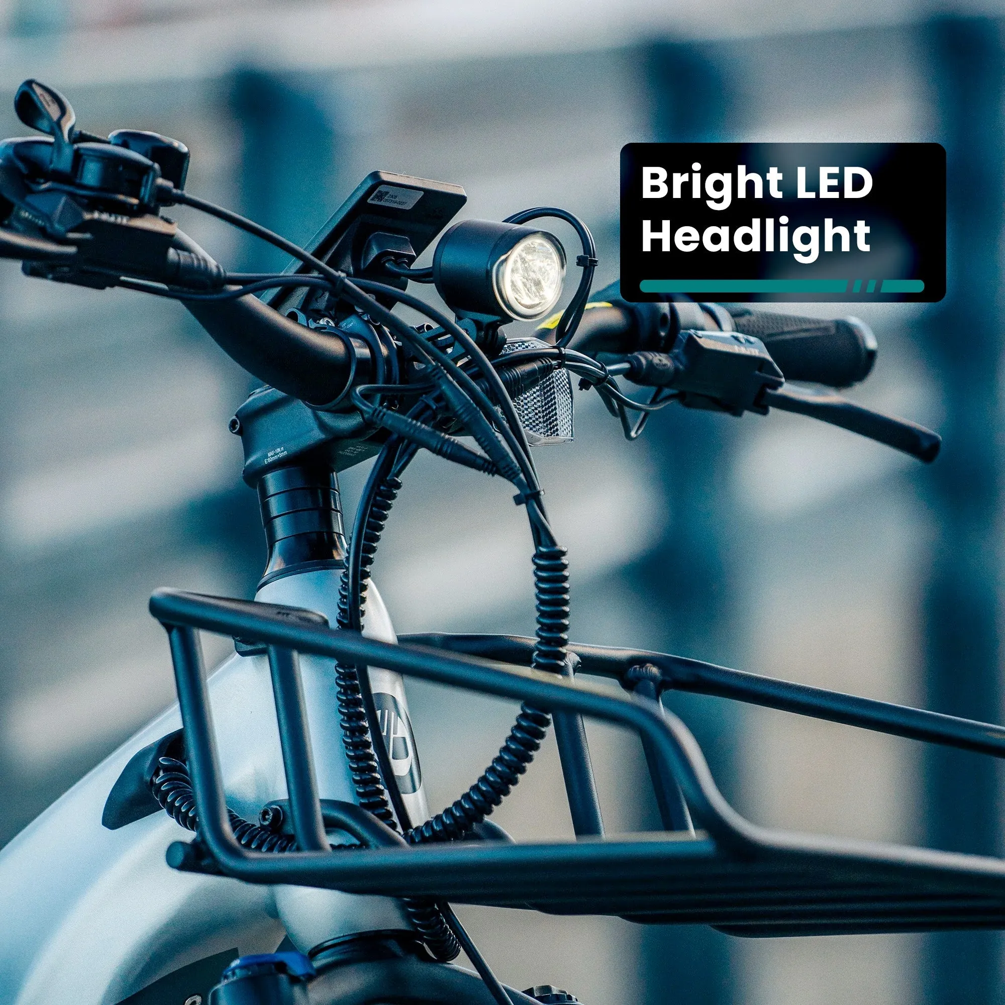 Tundra Fat Tire Electric Bike